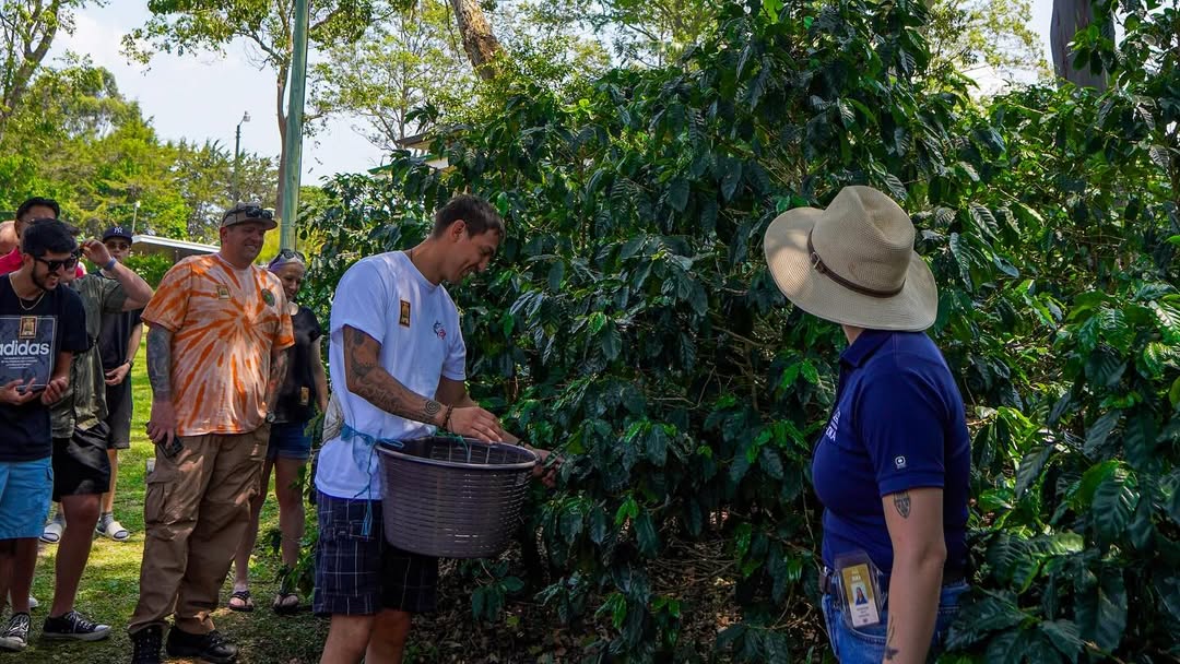 Coffee plantation tour at the Doka Estate in Costa Rica